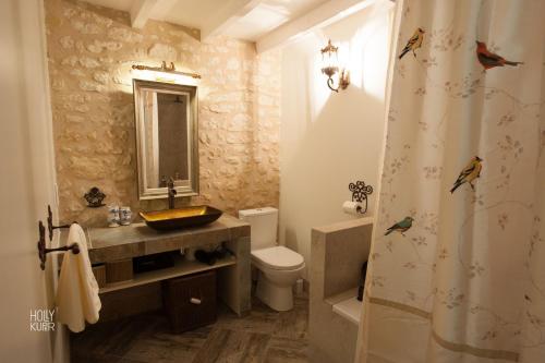 Civray-de-TouraineSongbird Sanctuary的一间带水槽、卫生间和淋浴的浴室