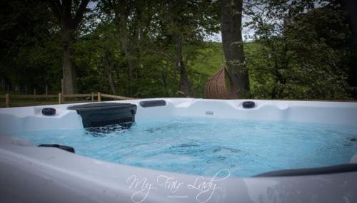 Llanrhaeadr-ym-MochnantThe Prancing Pony的后院的蓝色热水浴池