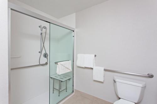 米拉梅萨圣地亚哥 - 米拉梅萨智选假日酒店的一间带卫生间和玻璃淋浴间的浴室