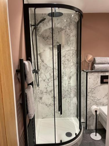 托特尼斯Luxury flat in Totnes的浴室里设有玻璃门淋浴