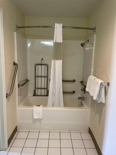 斯威特沃特Econo Lodge Inn & Suites Sweetwater I-20的带浴缸和淋浴帘的浴室