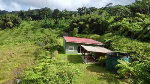 Le Morne RougeChambre Roucou vue Mont Pelée的田间中的小房子