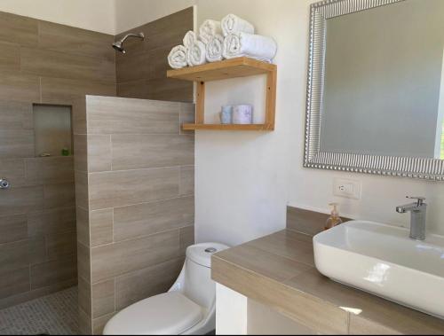 La Ventana帕拉伊索别墅酒店的一间带卫生间、水槽和镜子的浴室