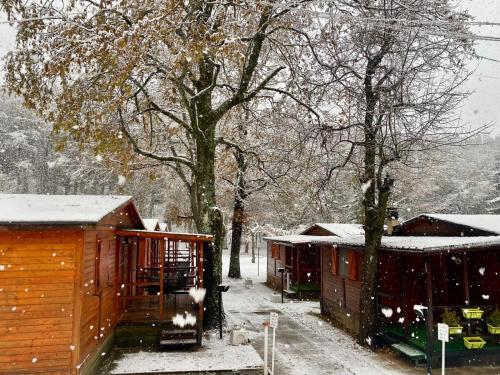 罗卡拉索B&B Snow Village Roccaraso的雪覆盖的院子中的一组小屋