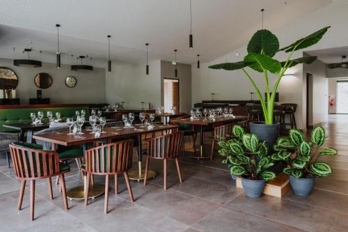 萨拉济Sarana Hôtel & Spa的一间设有桌椅和盆栽的餐厅