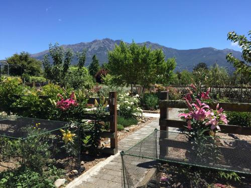 Wairau ValleyBirch Hill Cottage -30 minutes from St Arnaud的种满鲜花、围栏和山脉的花园
