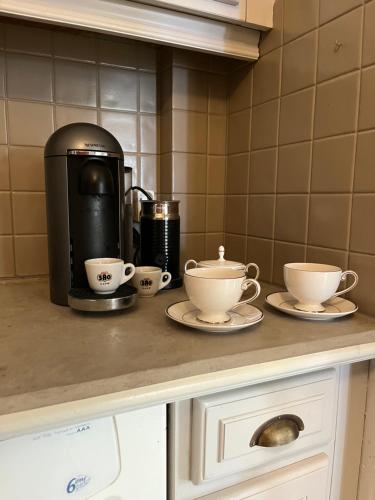 TonneinsPrivate Rooms & Bath的带2杯和咖啡壶的厨房台面