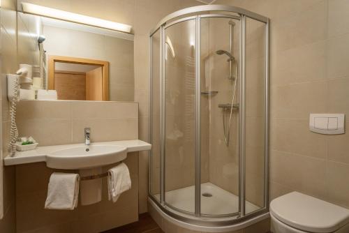 Tauplitzalm希尔泽格酒店的带淋浴、盥洗盆和卫生间的浴室