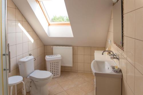DługieRanczo Marzenia的浴室配有卫生间、水槽和天窗。