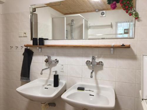Dolni Dvur霍尼拉诺夫小屋酒店的浴室设有2个水槽和镜子