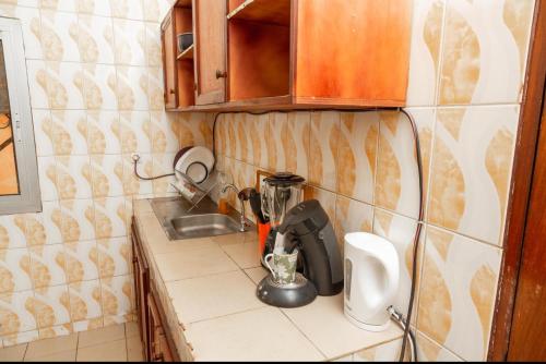 雅温得DUPLEXE HAUT STANDING centre ville Quartier Fouda的厨房柜台配有搅拌机和水槽