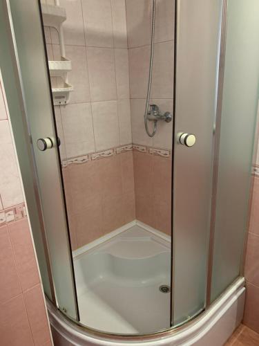 亚列姆切Svitlyachok的浴室里设有玻璃门淋浴