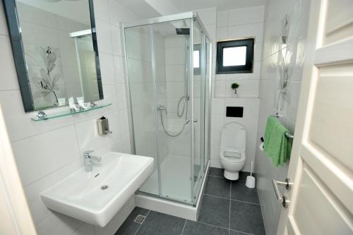 布雷拉托米斯拉夫别墅公寓的一间带水槽、淋浴和卫生间的浴室