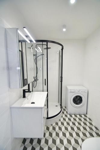 卡托维兹Apartament Bytkowska的一间带水槽和洗衣机的浴室