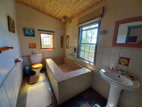 莱迪史密斯Wolverfontein Karoo Cottages的带浴缸、卫生间和盥洗盆的浴室