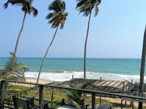 ButreAfro Beach Eco Resort Butre的从度假村的阳台上可欣赏到海滩景色