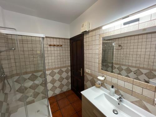布维翁Ático CASA CHE的一间带水槽和淋浴的浴室