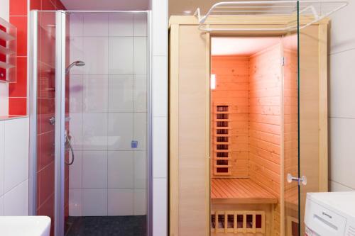 恩斯塔尔豪斯克里斯特公寓的带淋浴的浴室和玻璃门