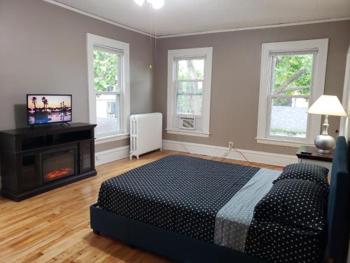 明尼阿波利斯The Uptown Oasis的一间卧室配有一张床、一个壁炉和一台电视。
