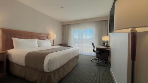 基洛纳卡普里海岸酒店 的配有一张床、一张书桌和一扇窗户的酒店客房