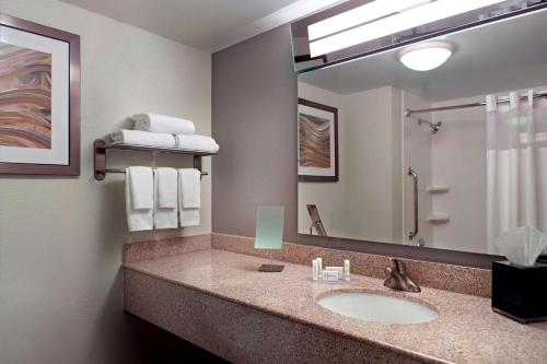 亚特兰大亚特兰大坎伯兰万怡酒店/画廊的一间带水槽和大镜子的浴室