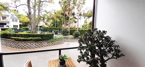奥克兰塔卡普纳公寓的阳台享有花园的景致,种植了植物。