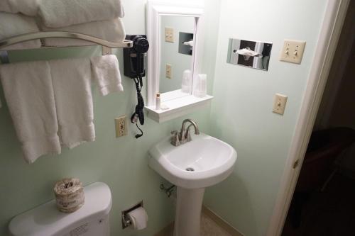 切马尔特鹰火山湖酒店的一间带水槽、卫生间和镜子的浴室