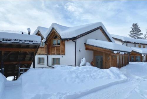 BrienzJust 10min from Lenzerheide - Apartment in Vazerol的积雪覆盖的房屋