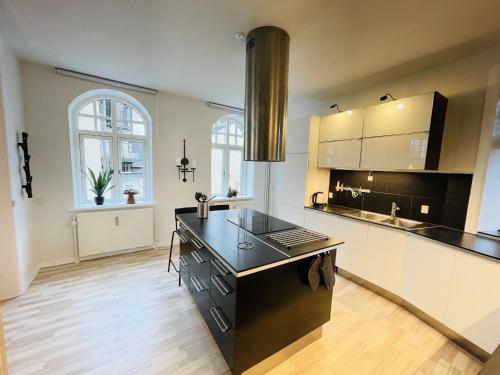 奥尔堡aday - Luxurious Studio Apartment in the Heart of Aalborg的一个带黑色台面的大厨房