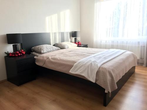 瓦尔米耶拉Upes apartamenti Nr: 32的一间卧室配有一张大床和两个枕头