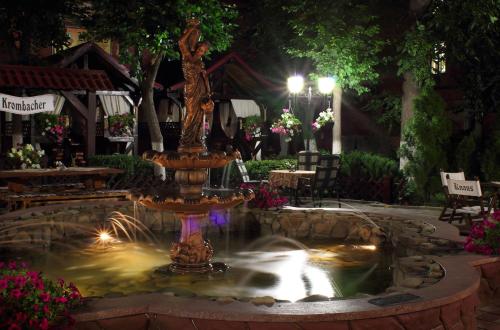 切尔诺夫策诺斯公寓 的夜晚在院子里的一个喷泉
