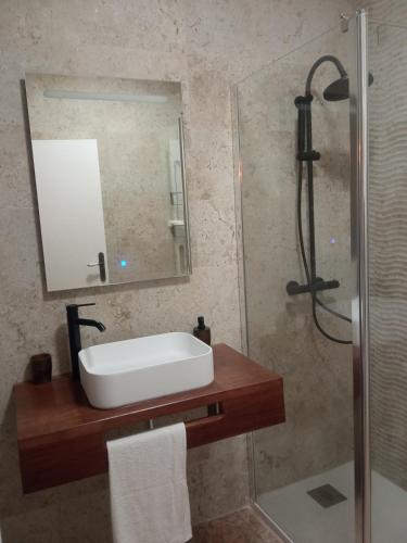 托莱多SEÑORÍO DE ORGAZ II的浴室配有盥洗盆和带镜子的淋浴