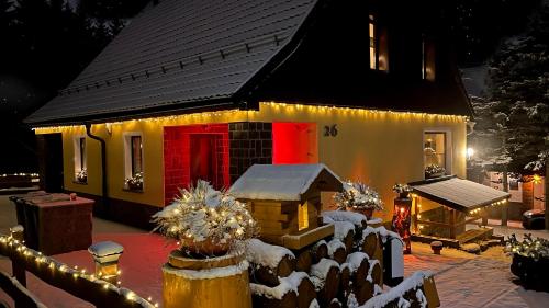 奥泊维森塔尔Ferienwohnung-direkt-am-skihang的雪中遮盖着圣诞灯的房子