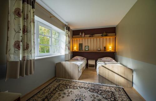 NasvaNinnujärve Private Holiday Home的一间带两张床和窗户的客厅