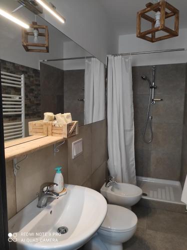 吉齐奥河畔佩托拉诺Villa Sofia的一间带水槽、卫生间和淋浴的浴室