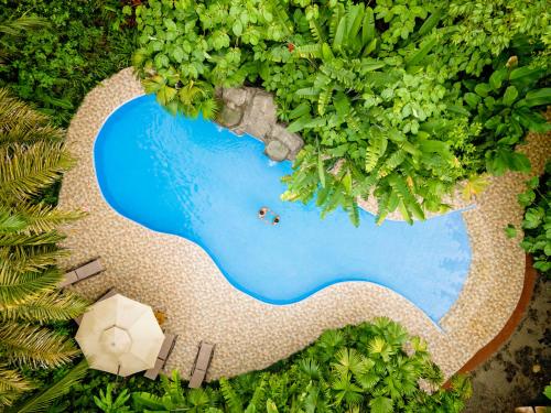 Boca Tapada玛奎恩克生态旅馆的享有度假村游泳池的顶部景致