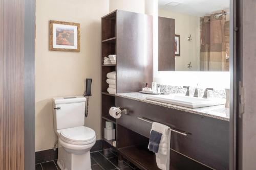 图萨扬格兰德峡谷格兰德酒店的一间带卫生间、水槽和镜子的浴室