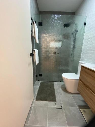 苏塞克斯入口Secret at Sussex Inlet Units的一间带卫生间和玻璃淋浴间的浴室