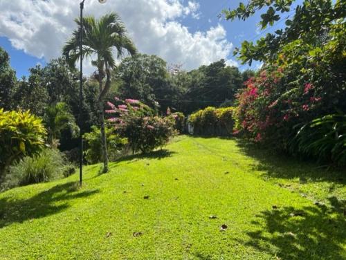 圣安斯贝特雷西纳牙买加旅馆的绿草如茵的花园