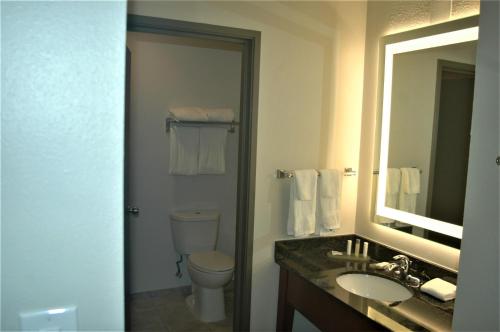 瓦尔多斯塔Wingate by Wyndham Valdosta/Moody AFB的一间带卫生间、水槽和镜子的浴室