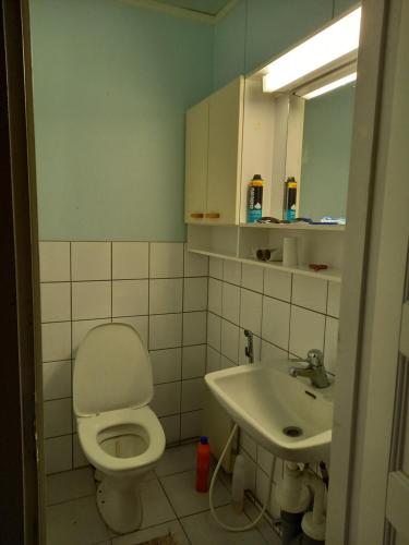 JuukaTalo mäellä的浴室配有白色卫生间和盥洗盆。