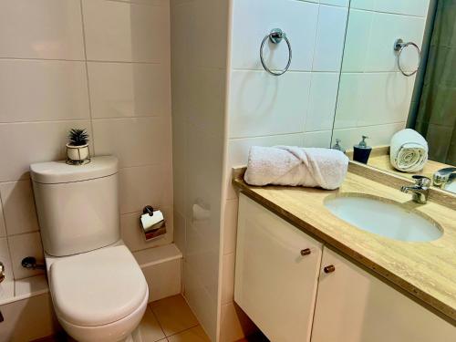 卡拉马Departamento Central Ejecutivo- Apart Hotel的一间带卫生间、水槽和镜子的浴室