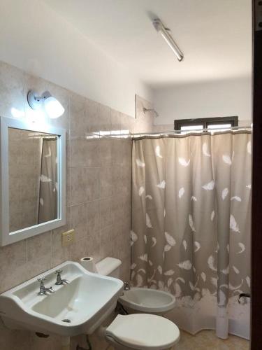 康考迪亚Calido y centrico monoambiente的浴室配有水槽、卫生间和浴帘