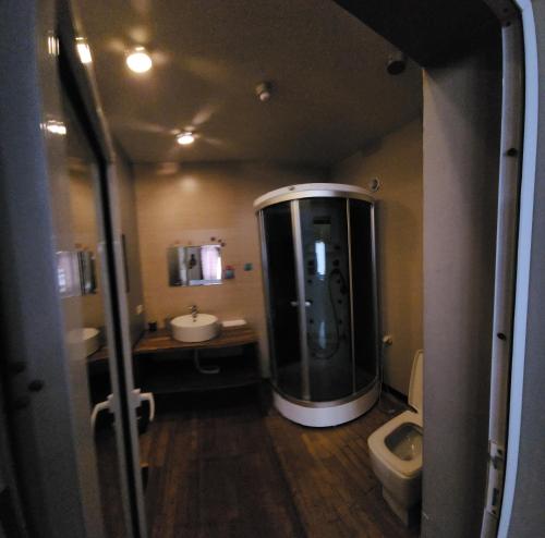 塔什干Garda的带淋浴和卫生间的浴室。