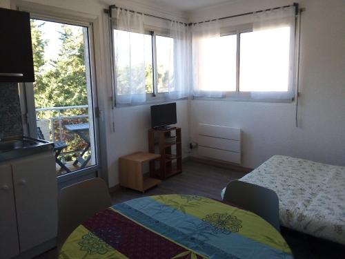 韦尔内莱班la Catalane的一间卧室设有一张床、一台电视和两个窗户。