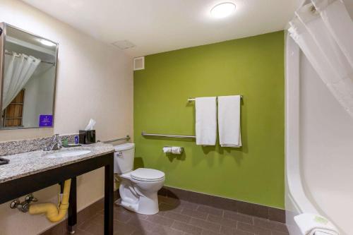 安大略安大略司丽普酒店的一间带卫生间和绿色墙壁的浴室