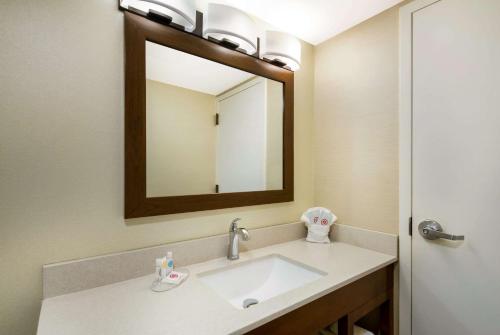 列克星敦弗吉尼亚州霍斯中心康福特因酒店的一间带水槽和镜子的浴室