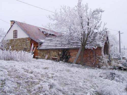 奥斯拉瓦河畔纳梅什季Holiday Home U Černých Ovcí的树旁的雪屋