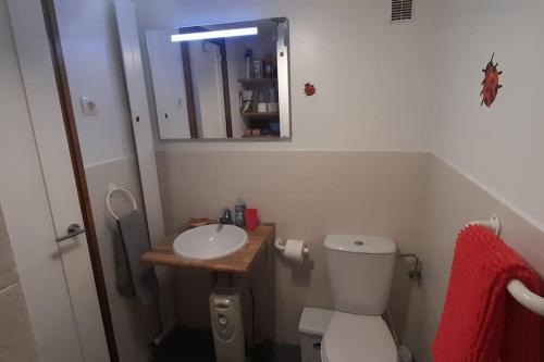 坎丹奇奥Estudio en pistas的一间带卫生间、水槽和镜子的浴室