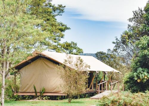 Mount BurrellSilk Pavilions Glamping的树田里的大型帆布帐篷